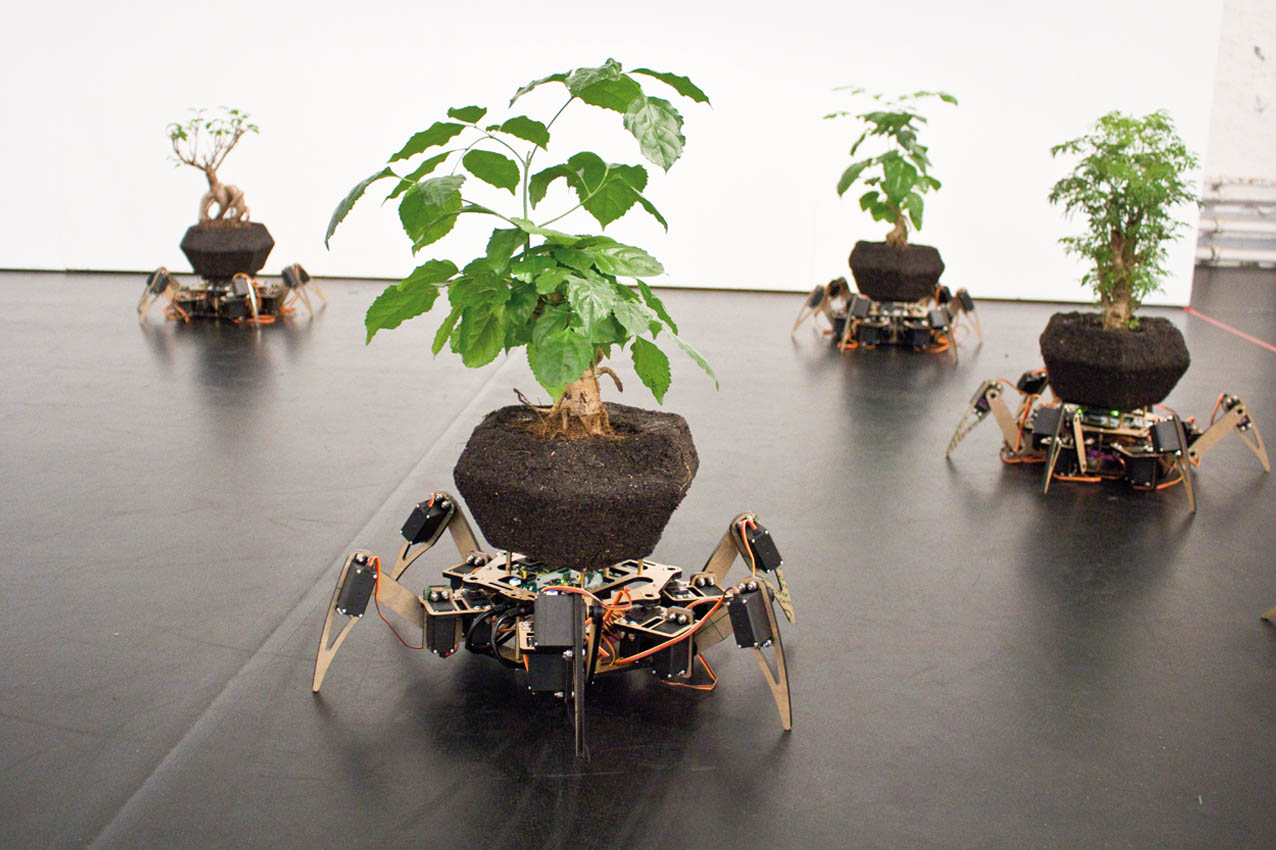 Cyber (-netik) Forest 2023