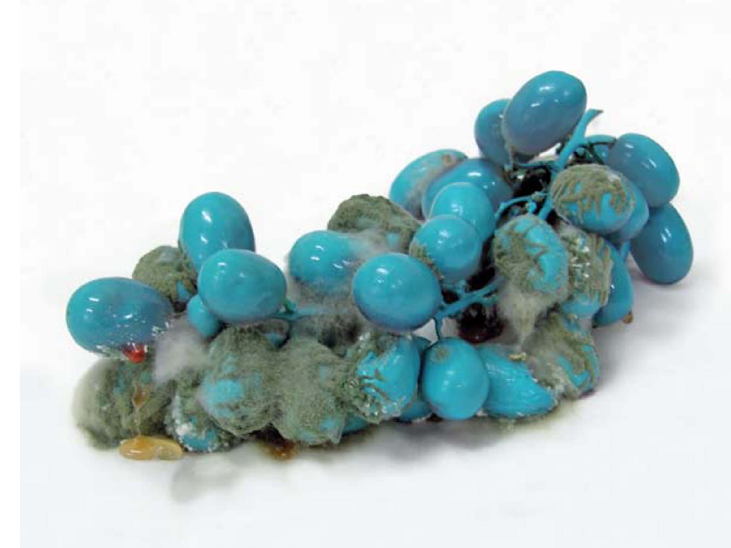 Fruits